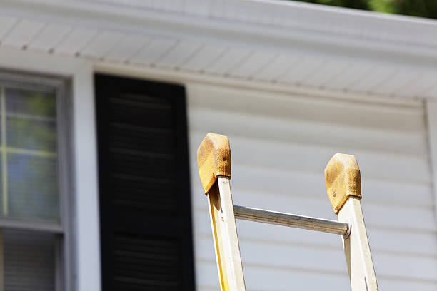 Best Custom Trim and Detailing for Siding  in Issaquah, WA