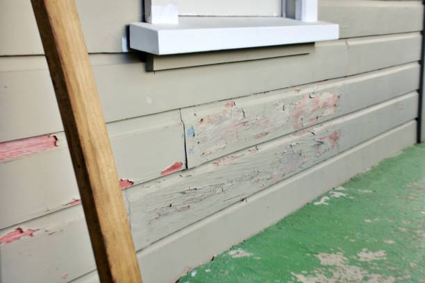 Best Residential Vinyl Siding Installation  in Issaquah, WA